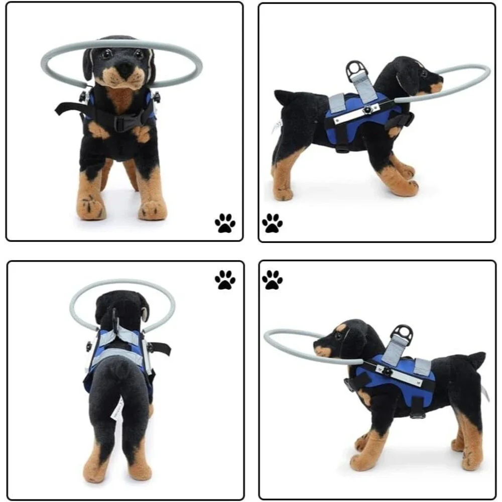 QingYi Adjustable Blind Dog Harness, Size Small, Blue